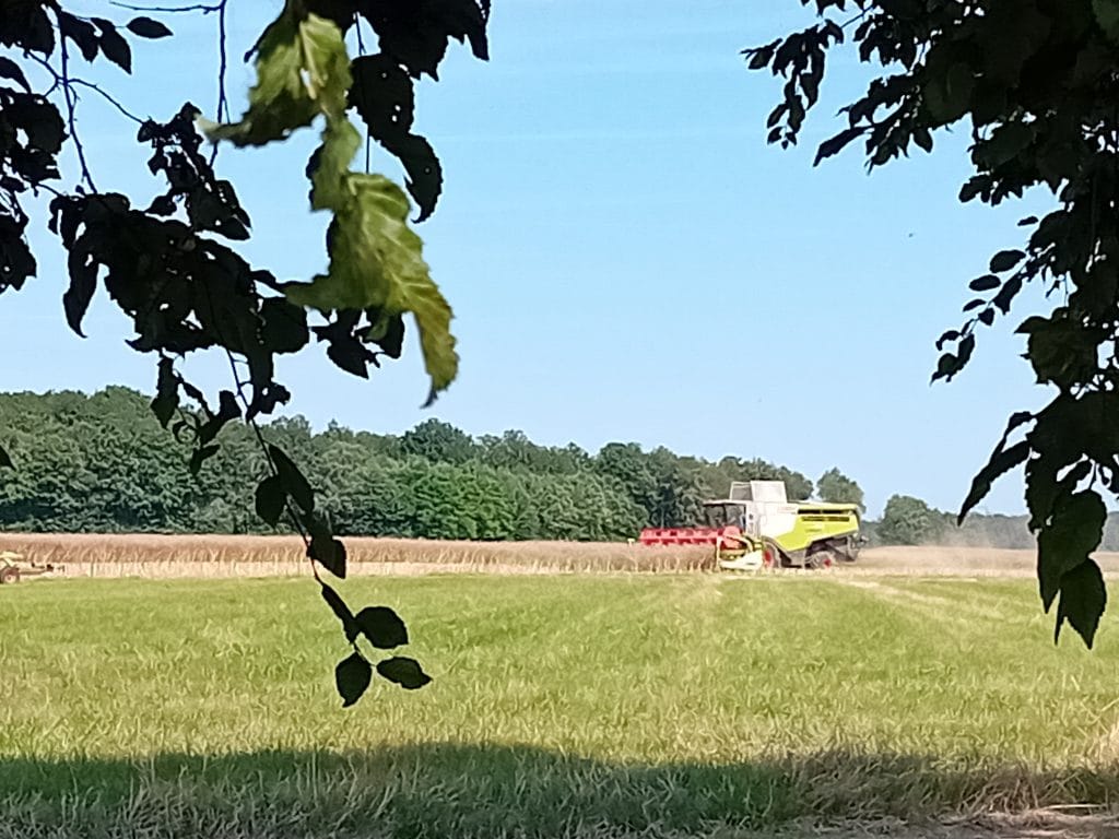 champ- avec-moissonneuse-batteuse-et-forêt-en-arrière-plan