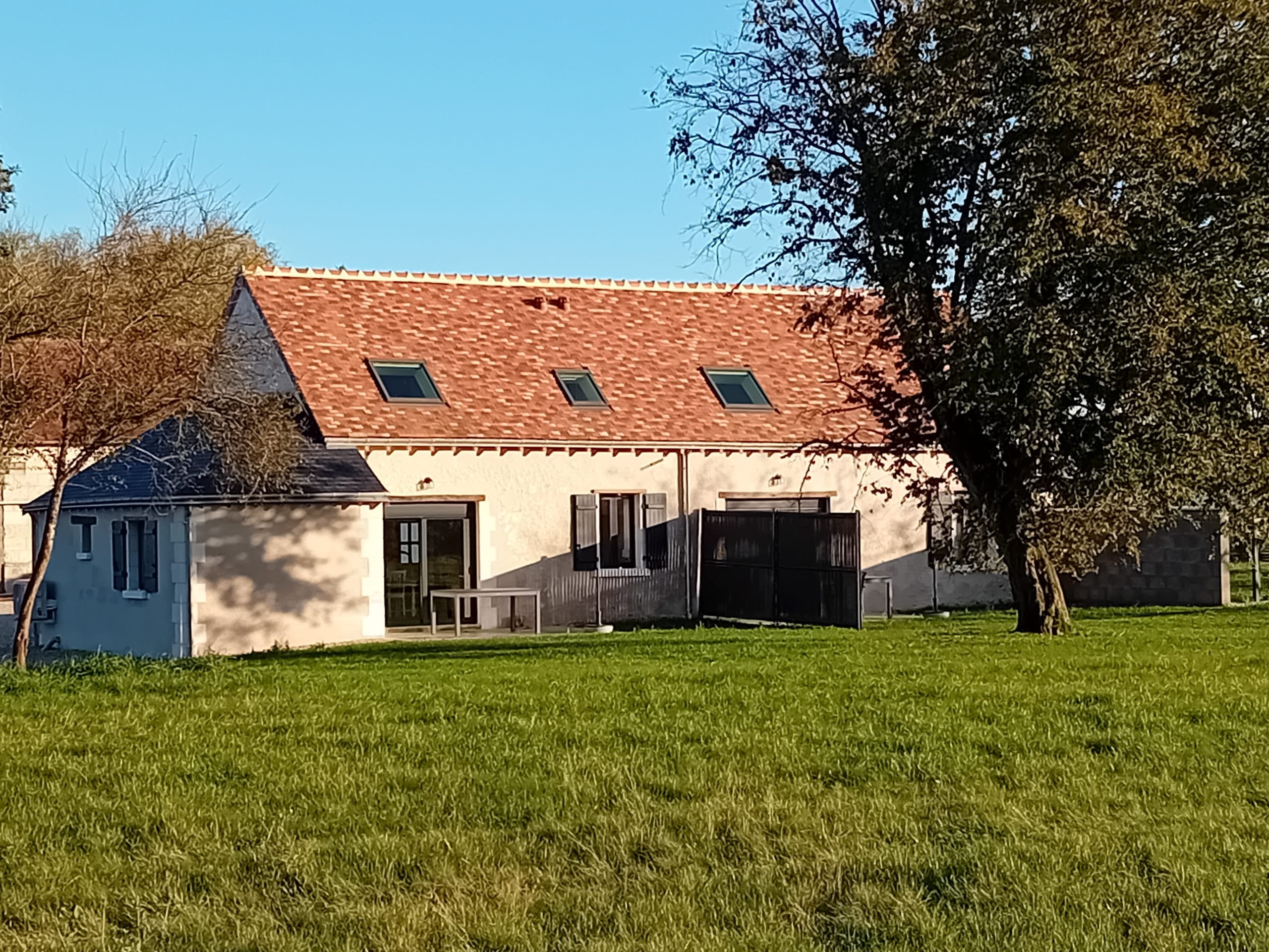 vue arrière de la maison avec terrasse et séparation , toit en tuiles avec velux . grande étendue de pelouse au premier plan