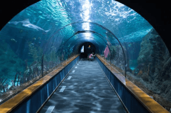 Aquarium de Touraine, tunnel avec eau tout autour