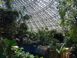 Dôme équatorial avec vue sur la végétation luxuriante