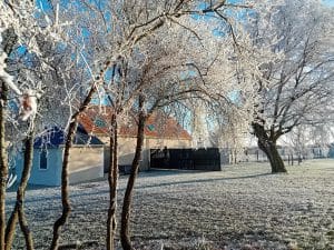 arrière de la maison avec les arbres givrés
