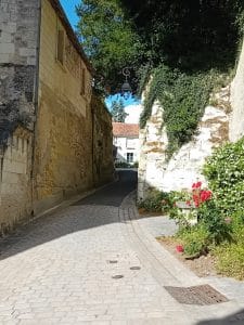 ruelle pavée fleurie